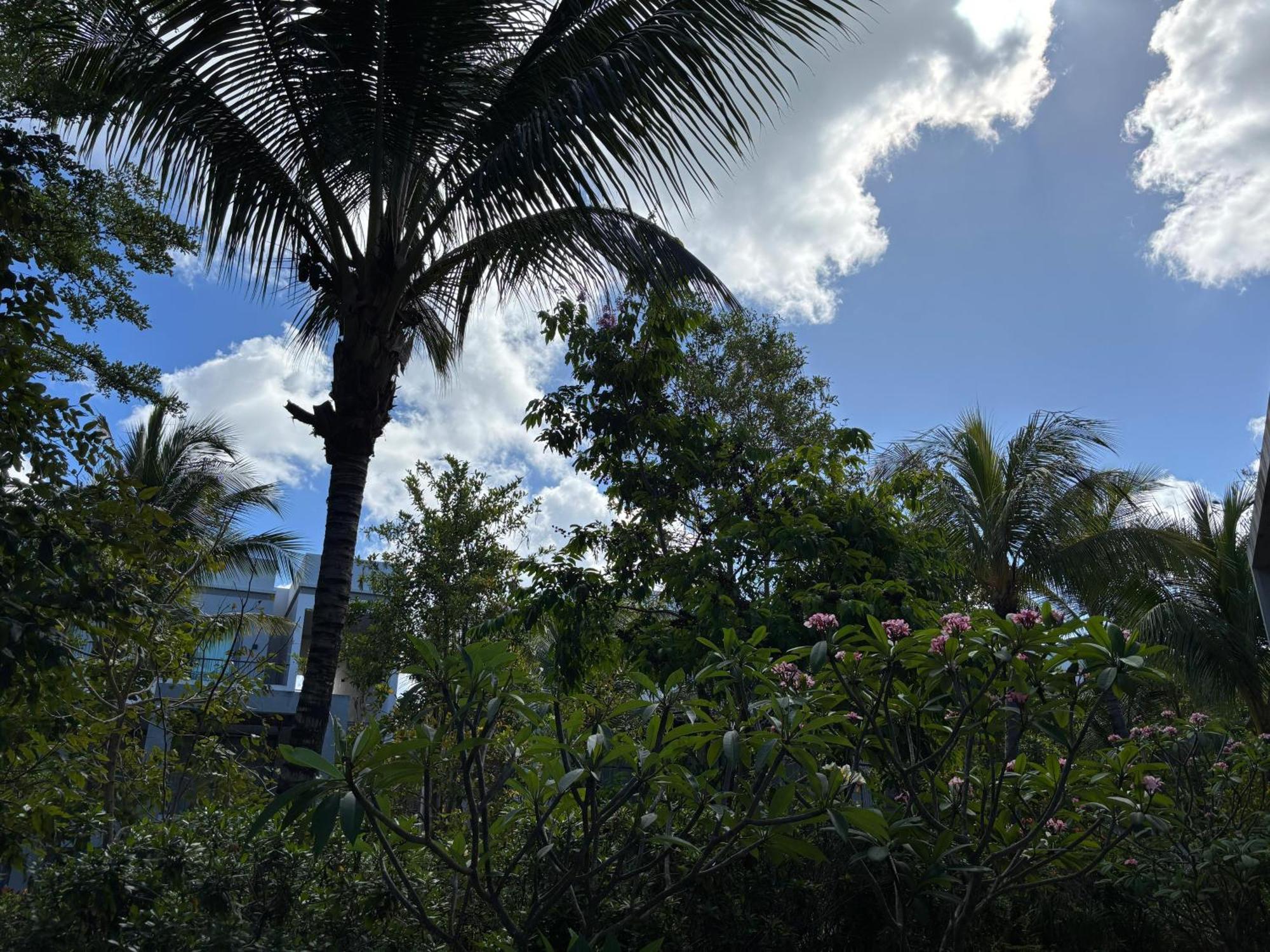 Mont Choisy Le Parc By Pam Golding Apartment ภายนอก รูปภาพ